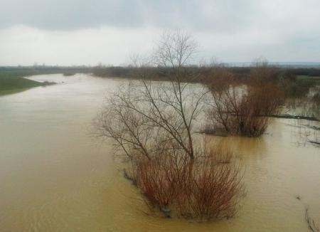 Bihorul sub ape: Peste 250 de hectare de teren din judeţ sunt inundate